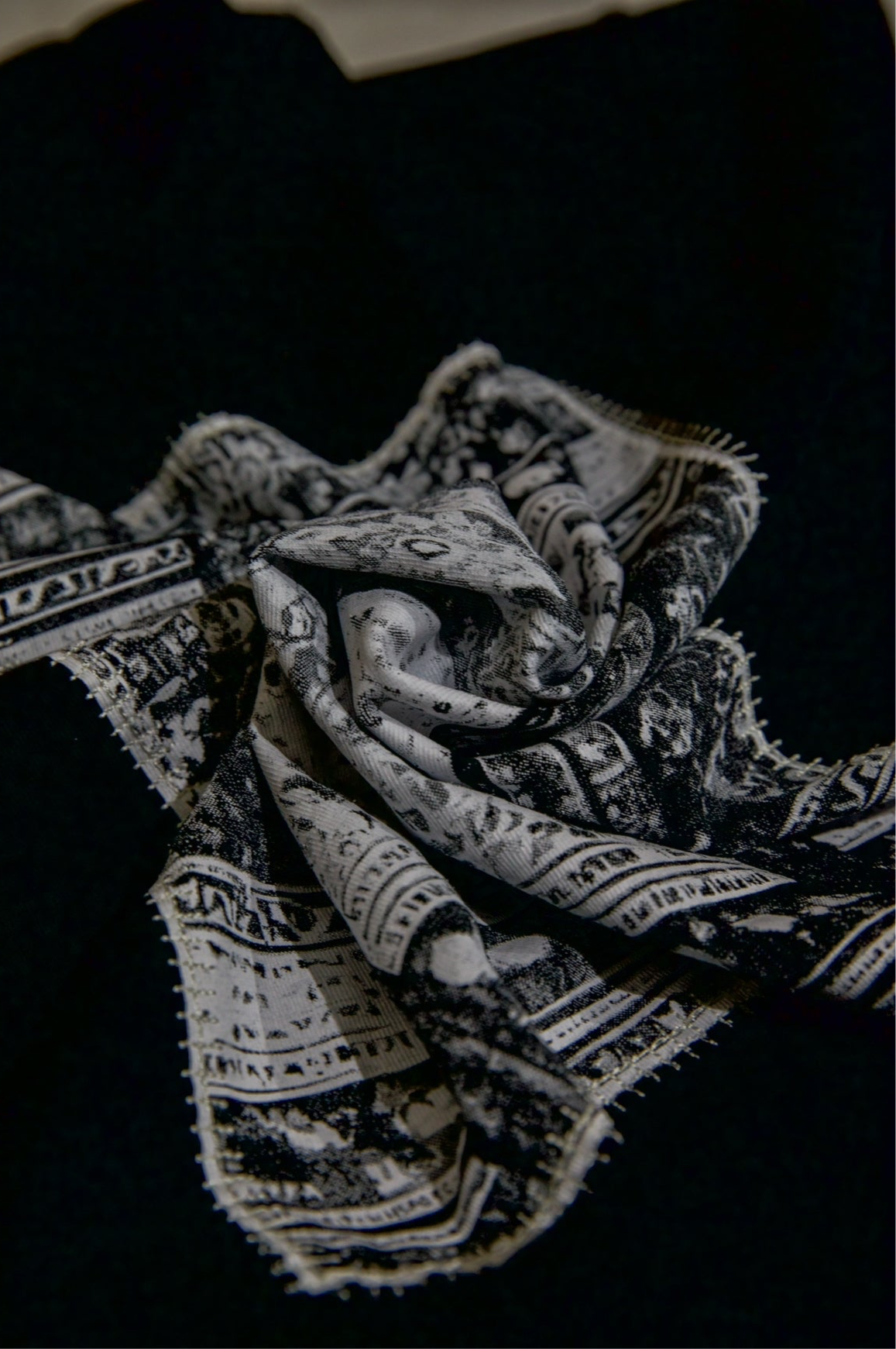"ADHAAR" PRINTED & EMBROIDERED T-SHIRT